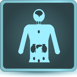 Endocrinologie