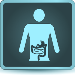 Gastro-entérologie